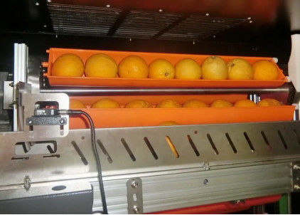 Portakal Elma İçin Karaborsa Meyve Suyu Otomatı 800W