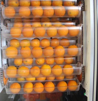 Süpermarket Mağazası İçin Otomatik Meyve Taze Portakal Suyu Otomatı 1000W